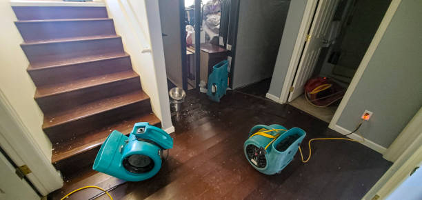 Best Mold removal after water damage  in New Hartford Center, CT